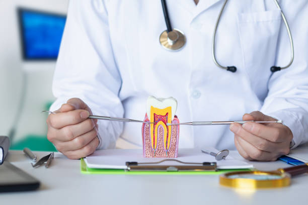 Best Emergency Dental Care for Broken or Chipped Teeth in Tariffville, CT